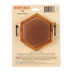 Burt's Bees for Pets Palm Slicker Brush, Recycled Bamboo Dog Brushes, Dog Brush, Dog Hair Brush, Burts Bees Pet Bush, Puppy Brush, Pet Hair Brush, Pet Comb, Dog Grooming Tools, Grooming Brush