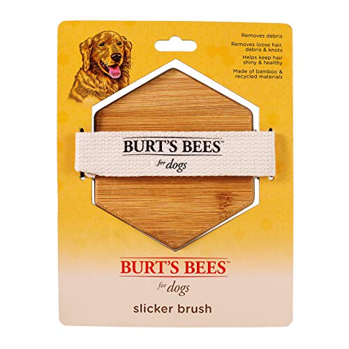 Burt's Bees for Pets Palm Slicker Brush, Recycled Bamboo Dog Brushes, Dog Brush, Dog Hair Brush, Burts Bees Pet Bush, Puppy Brush, Pet Hair Brush, Pet Comb, Dog Grooming Tools, Grooming Brush