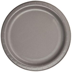 Creative Converting 339639 DINNER PLATE, 9 in, 24 ct, Gray