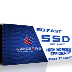 GAMERKING SSD 64GB SATAIII 2.5 inch 6Gb/s 7MM Internal Solid State Drive for PC Laptop Desktop Hard Drive SSDSSD (64GB, 2.5-SATA Ⅲ)