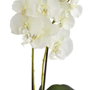 Dahlia Studios Potted Silk Faux Artificial Flowers Realistic White Phalaenopsis Orchid Greenery in Gold Ceramic Pot for Home Decoration Living Room Office Bedroom Bathroom Kitchen 22" High