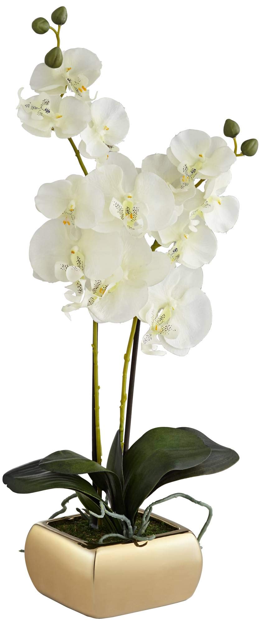 Dahlia Studios Potted Silk Faux Artificial Flowers Realistic White Phalaenopsis Orchid Greenery in Gold Ceramic Pot for Home Decoration Living Room Office Bedroom Bathroom Kitchen 22" High