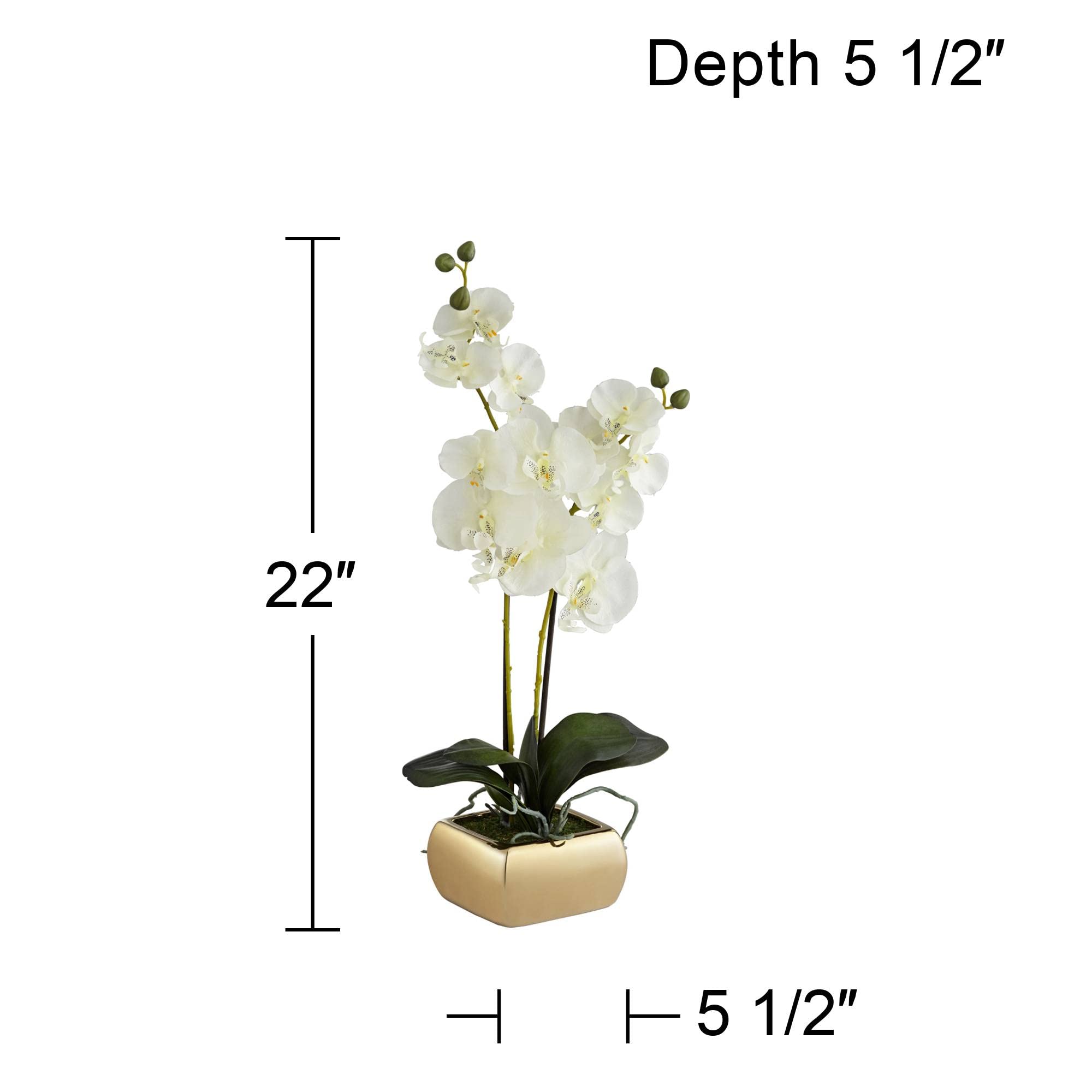 Dahlia Studios Potted Silk Faux Artificial Flowers Realistic White Phalaenopsis Orchid Greenery in Gold Ceramic Pot for Home Decoration Living Room Office Bedroom Bathroom Kitchen 22" High