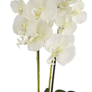 Dahlia Studios Potted Silk Faux Artificial Flowers Realistic White Phalaenopsis Orchid Greenery in Gold Ceramic Pot for Home Decoration Living Room Office Bedroom Bathroom Kitchen 22" High