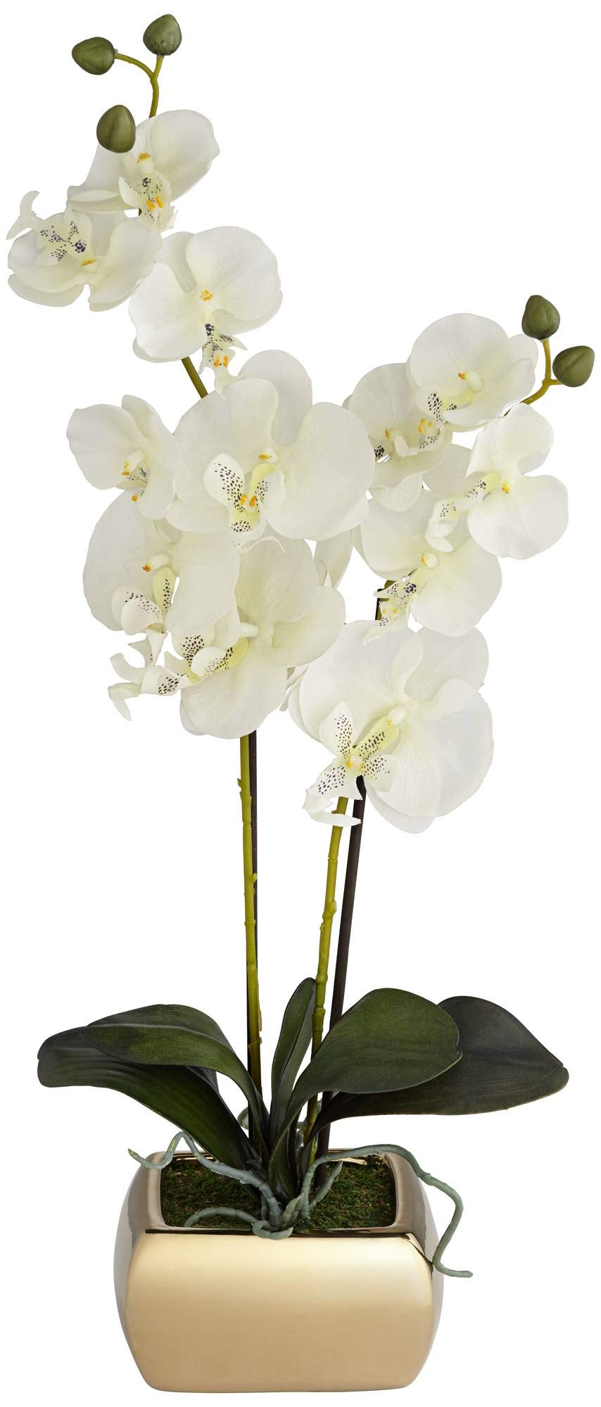 Dahlia Studios Potted Silk Faux Artificial Flowers Realistic White Phalaenopsis Orchid Greenery in Gold Ceramic Pot for Home Decoration Living Room Office Bedroom Bathroom Kitchen 22" High