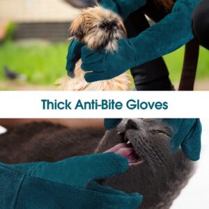 AOWPFVV Animal Handling Gloves Bite Proof Multipurpose Pet Glove for Trips to Vet Grooming Puncture Proof Training Anti-Bite Scratch for Cat Dog Snake Falcon Grabbing Reptile