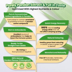 3 Bottle Pandan Leaf Extract Concentrate for Bakery & Beverage (60g) | Standardized Plant Extract of the East,Fresh Natural Asian Gourmet Baking Ingredient