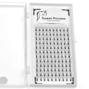 12rows,120pcs 10D Premade Volume Fans Eye Lashes Extensions Thickness 0.07mm D Curl Black Soft Individual False Eyelashes Makeup Fake Lashes Cluster 8-18mm to Choose(14mm)