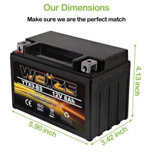 Weize YTX9-BS Maintenance Free Lead-Acid Battery For Motorcycle, ATV, Honda, Polaris, Suzuki