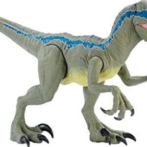 Mattel Jurassic World Super Colossal Velociraptor Blue Dinosaur Action Figure Toy, 3.5-ft Long with Eating Feature (Amazon Exclusive)