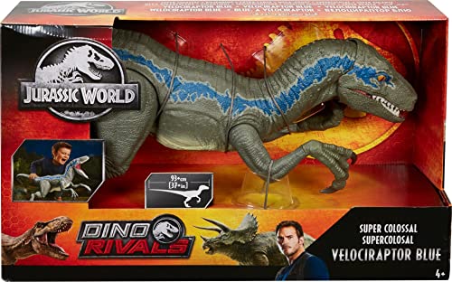 Mattel Jurassic World Super Colossal Velociraptor Blue Dinosaur Action Figure Toy, 3.5-ft Long with Eating Feature (Amazon Exclusive)