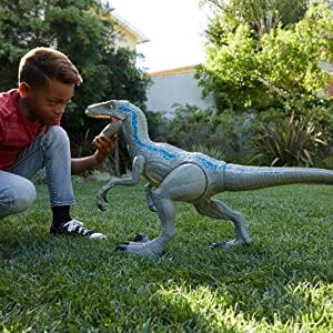 Mattel Jurassic World Super Colossal Velociraptor Blue Dinosaur Action Figure Toy, 3.5-ft Long with Eating Feature (Amazon Exclusive)