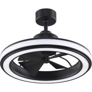 fanimation gleam indoor/outdoor ceiling fan with led light kit 16 inch - black