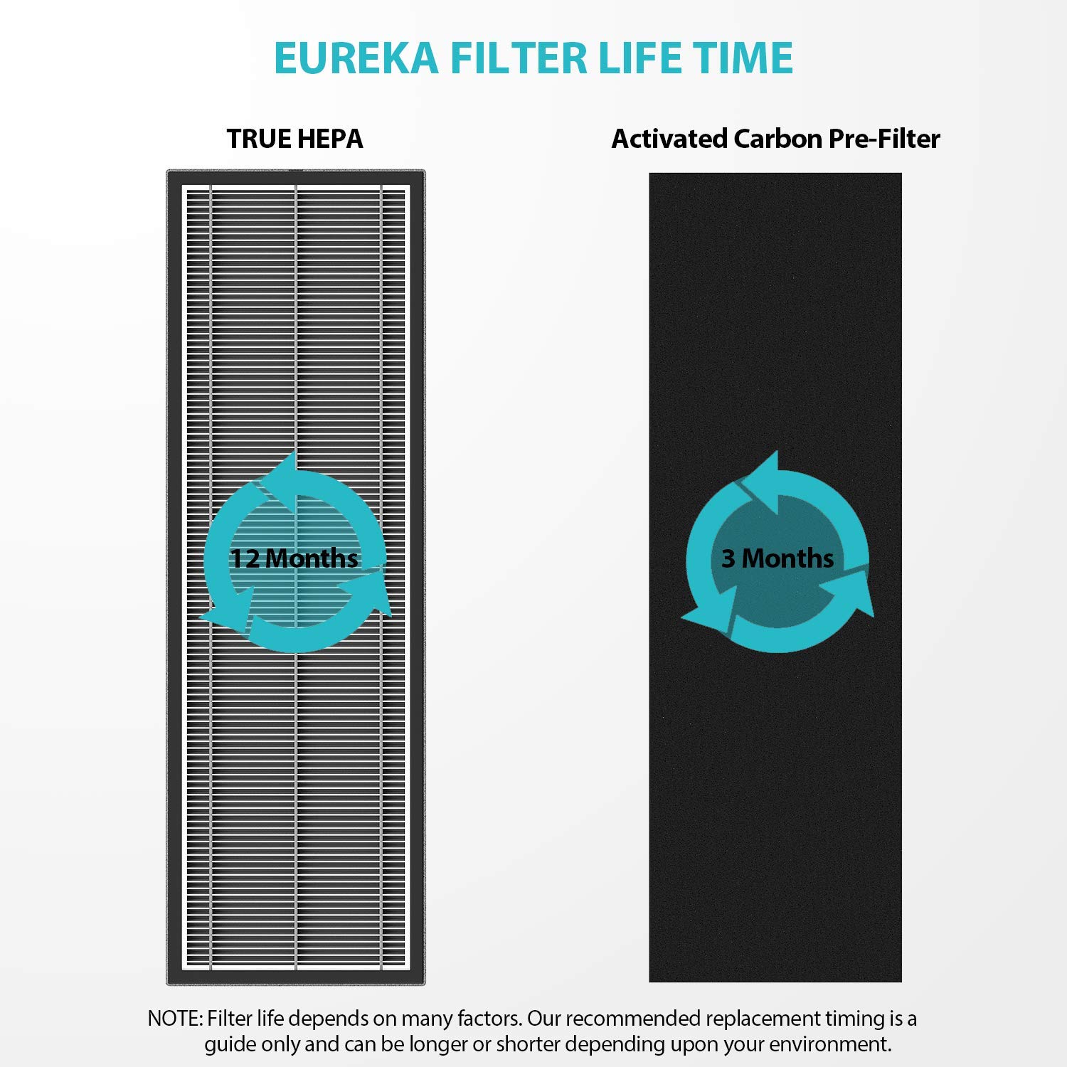 Eureka NEA-F1 True HEPA Filter, Filter Replacement for Eureka NEA120 , Black