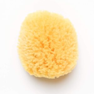 kyte baby natural sea sponge, 4 to 5 inches