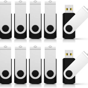 RAOYI 50 Pack 4GB USB Flash Drive, USB 2.0 Memory Stick Bulk Thumb Drives Pen Drive Zip Drive Bundle-Black