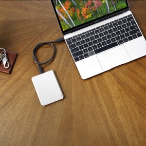 LaCie Mobile Drive 5TB External Hard Drive Portable HDD – Moon Silver USB-C USB 3.0, for Mac and PC Desktop, 1 Month Adobe CC (STHG5000400)