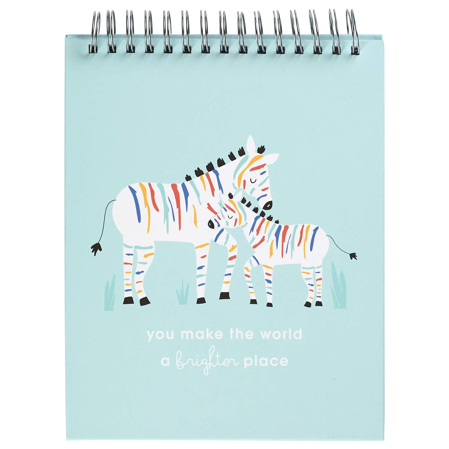 C.R. Gibson ''You Make The World a Brighter Place'' Rainbow Zebra Baby Milestone Cards Photo Prop Flipbook, 8.5'' x 10.5''