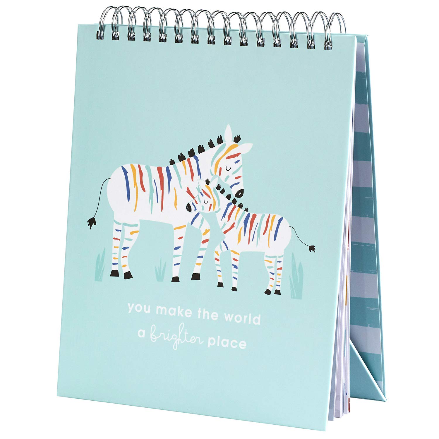 C.R. Gibson ''You Make The World a Brighter Place'' Rainbow Zebra Baby Milestone Cards Photo Prop Flipbook, 8.5'' x 10.5''