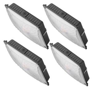 1000led (4 pack led canopy light, 65w, ceiling lights fixtures 8000lm daylight 5000k, 250w hid/hps replacement, waterproof ip65 gas station and garage light