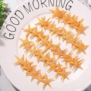 TIHOOD 90PCS 0.4"-1.2" Small Starfish Star Sea Shell Beach Crafts Decor (Yellow)