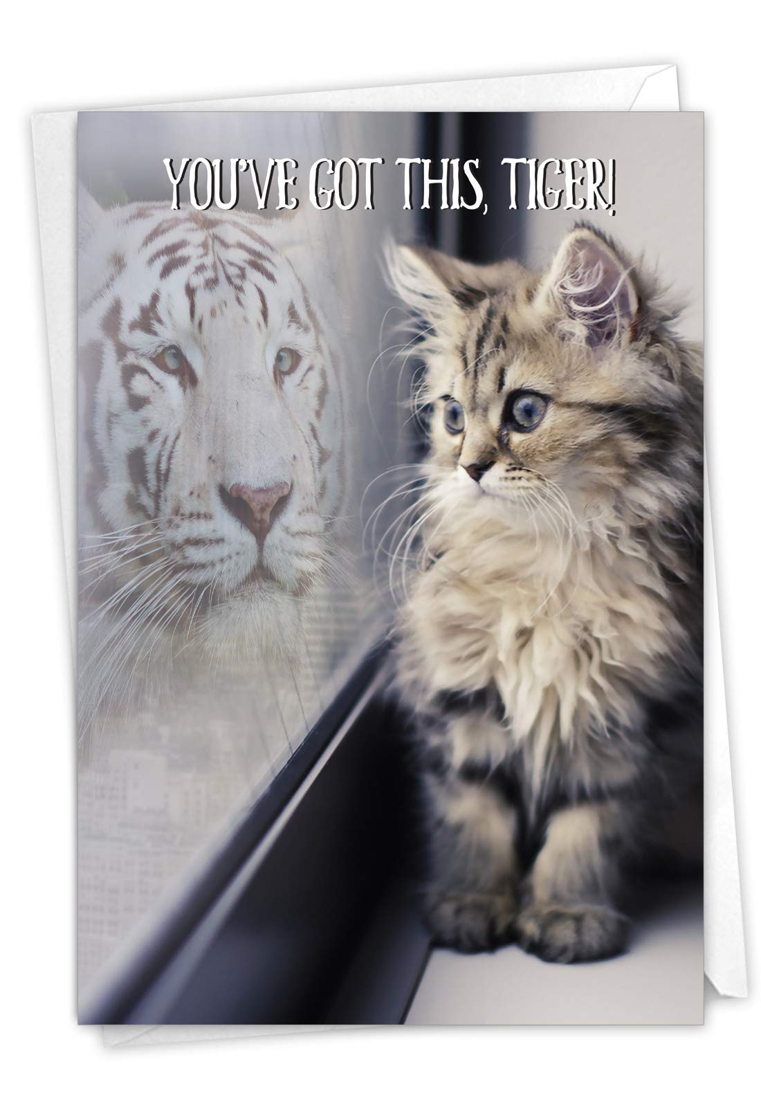 The Best Card Company - Inspirational Encouragement Card with Envelope - Cute Cat, Tiger Animal Motivation, Friendship - Aspirations C7076JFRG