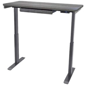 Motionwise Electric Standing Desk, 24”x48 Home Office Series, 28"-48" with Quickly Program up to 4 pre-Set Height adjustments and USB Charge Port, Gray Top with Gray Frame