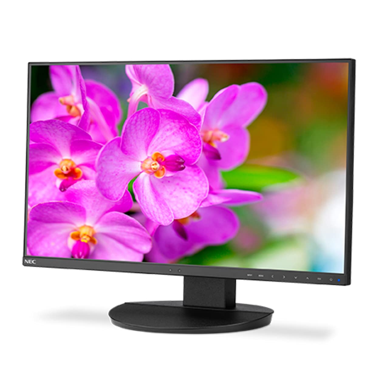 NEC EA241F-BK 24 Full HD Business-Class Widescreen Desktop Monitor with Ultra-Narrow Bezel