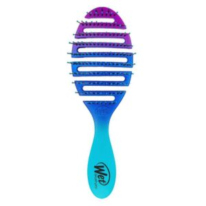 Wet Brush Brush Flex Dry Teal Ombre