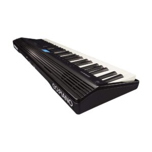Roland GO:PIANO 61-key Digital Piano Keyboard with Integrated Bluetooth Speakers (GO-61P)