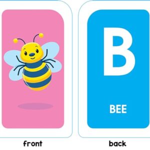 School Zone Get Ready for School Flash Cards: Learn the Alphabet & Numbers Combo Pack, Preschool, Kindergarten, ABCs, Uppercase and Lowercase Letters, Numbers, Counting, and More