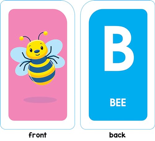 School Zone Get Ready for School Flash Cards: Learn the Alphabet & Numbers Combo Pack, Preschool, Kindergarten, ABCs, Uppercase and Lowercase Letters, Numbers, Counting, and More