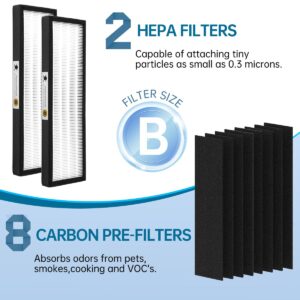 FLT4825 True HEPA B Replacement Filters Compatible with GermGuardian AP AC4825, AC4825E, AC4300BPTCA, AC4850PT, AC4900CA, CDAP450,PureGuardian AP2200CA and Black+Decker BXAP1,2 HEPA + 8 Carbon Filters