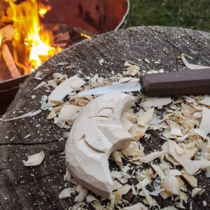 CanUsa Brand Basswood Carving Wood Blocks from Wisconsin USA. Whittling Wood Carving Wood Blocks for Carving. Contains Two Large Basswood Carving Blocks and Eight Small.