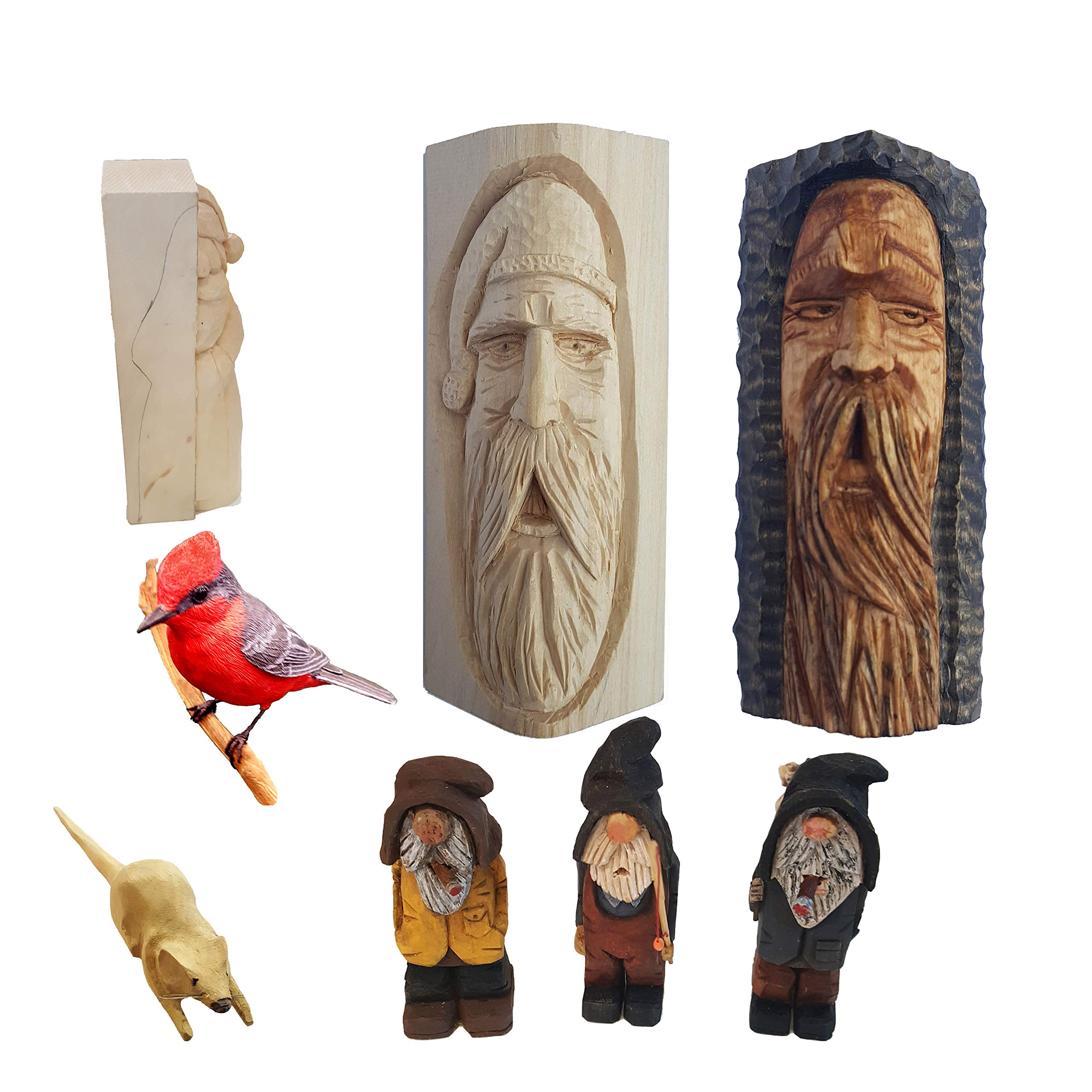 CanUsa Brand Basswood Carving Wood Blocks from Wisconsin USA. Whittling Wood Carving Wood Blocks for Carving. Contains Two Large Basswood Carving Blocks and Eight Small.