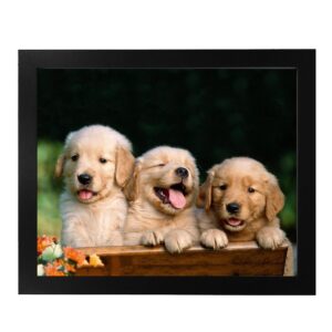 Lab Puppy Triplets - Animal Wall Decor, Adorable Wall Art Photo Print is Perfect Addition to Your Home, Office, Nursery & Kids Room Decor. Great Gift for Dog & Cuteness Lovers! Unframed - 10x8