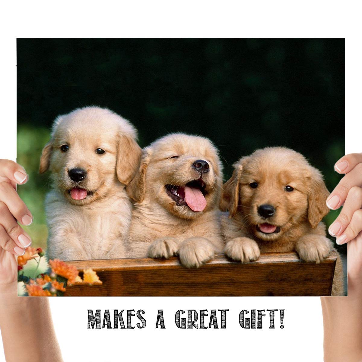 Lab Puppy Triplets - Animal Wall Decor, Adorable Wall Art Photo Print is Perfect Addition to Your Home, Office, Nursery & Kids Room Decor. Great Gift for Dog & Cuteness Lovers! Unframed - 10x8