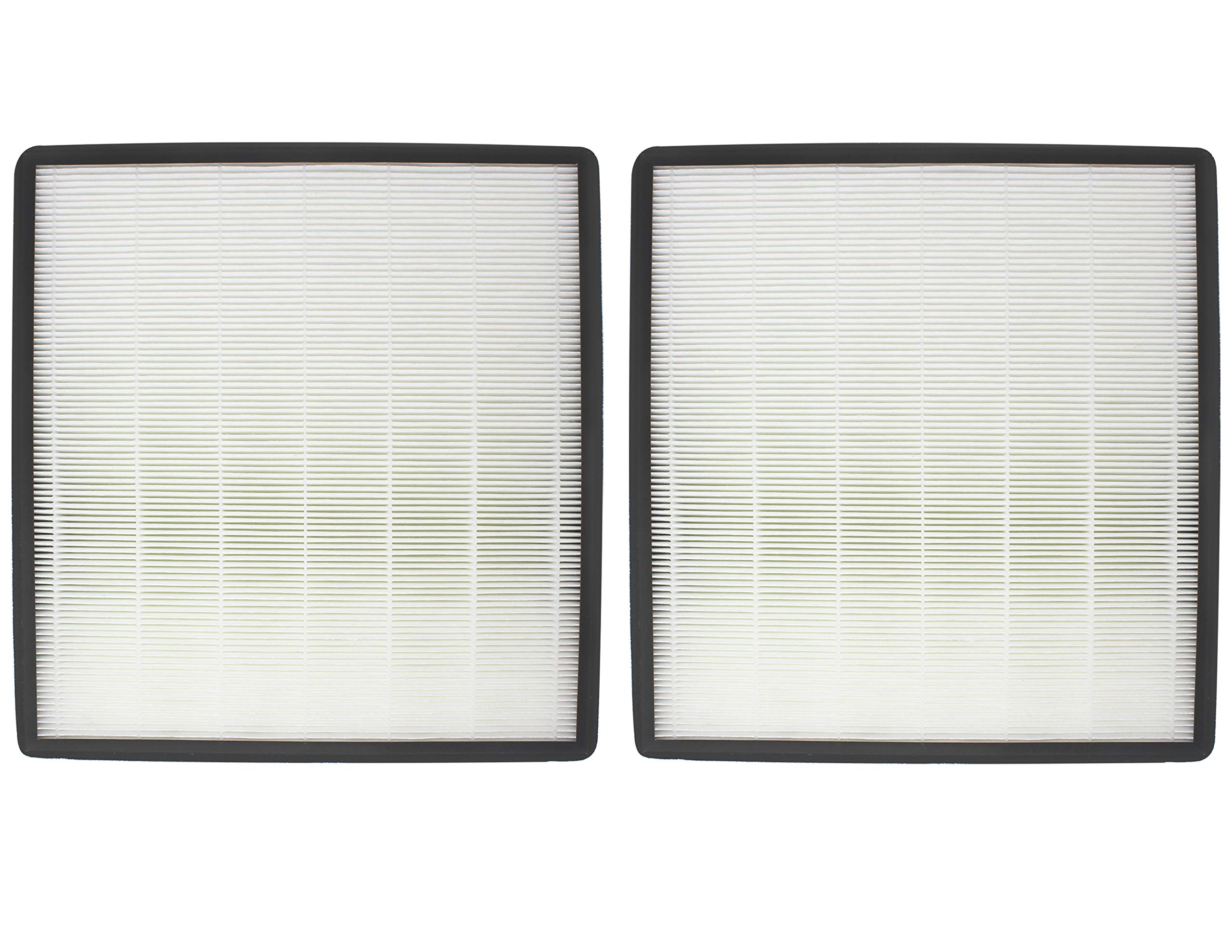 Fette Filter - Air Purifier True HEPA Filter F Compatible with Holmes HAP769. Compare to Part # HAPF700 (2 Pack)