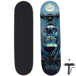 dreambeauty 31 inch pro skateboard complete,7 layer maple wood double kick concave skateboards, tricks skateboards for teens, beginners, girls, boys, kids, adults (pray)