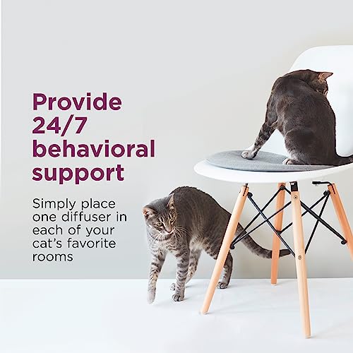 Comfort Zone Multi Cat Calming Diffuser Refills Value Kit: 6 pack; Pheromones to Reduce Cat Fighting, Spraying & Scratching