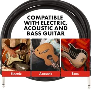 Fender Professional Series Instrument Cable, Guitar Cable 10 ft, Stage Ready with Anti-Kinking Design, Black