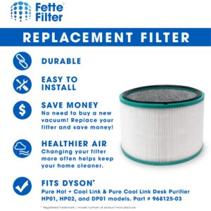 Fette Filter - 968125-03 Premium H13 True Hepa 360° Glass Filter Compatible with Dyson HP01 HP02 DP01 DP02 for Dyson Pure Hot Cool Link Desk Air Purifying Sytem Part # 968125-03 96812503 (2-Pack)