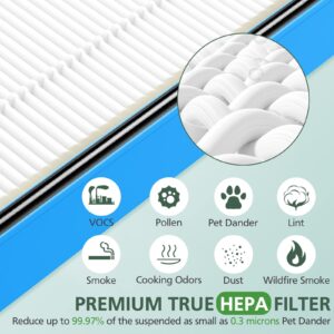 HAPF30AT Filter Replacement for Holmes AER1 Type Total Air Purifier, True Hepa Filter for HAPF30AT HAP242-NUC HAP424 HAP706 HAP716 HAP9240 et.