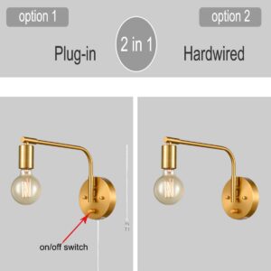 DANSEER Edison Brass Wall Sconces Set of Two Sconce Plug in with Switch Swing arm