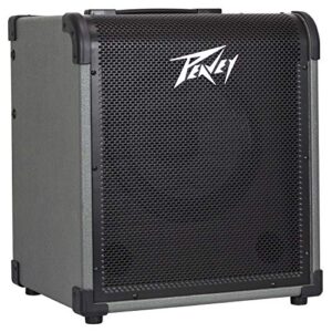 Peavey MAX 100 100-Watt Bass Amp Combo