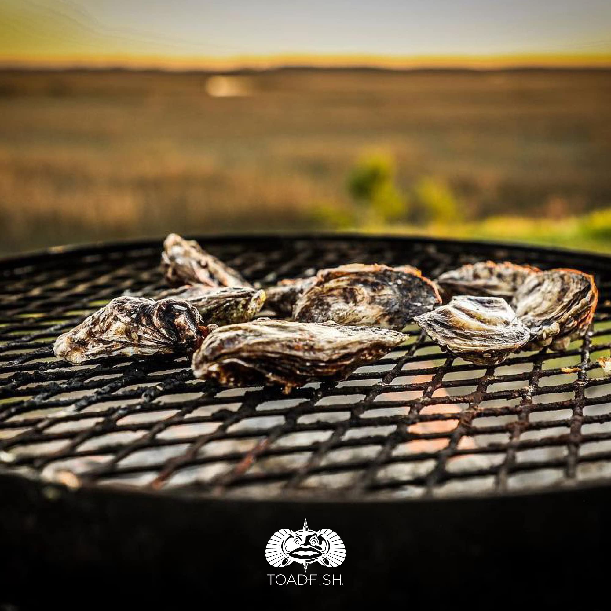 Toadfish Coastal Kitchen Collection - Includes Crab Cracker, Shrimp Deveiner, and Oyster Knife Outfitters