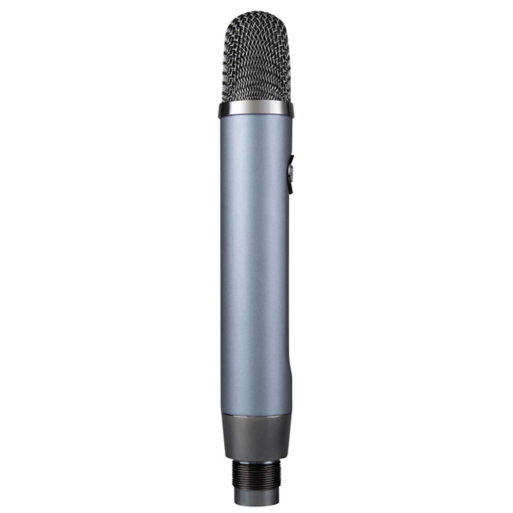 Blue Ember Small Diaphragm Studio Condenser Microphone with Kellopy Pop Filter & XLR-XLR Cable Bundle