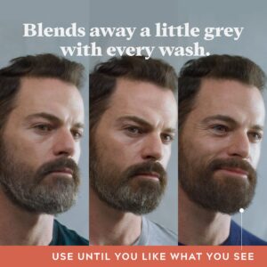 Just For Men Control GX Grey Reducing Beard Wash Shampoo, Gradually Colors Mustache and Beard, Leaves Facial Hair Softer and Fuller, 4 Fl Oz - Pack of 3 (Packaging May Vary)