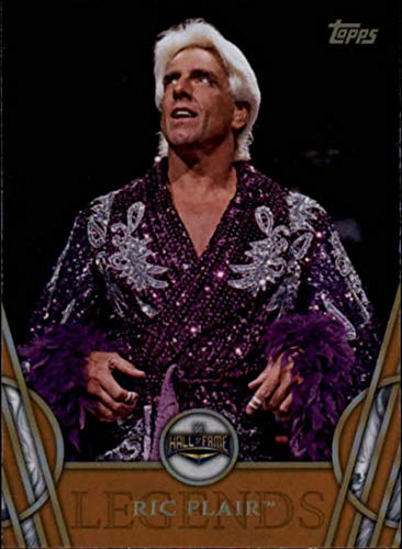 2018 Topps Legends of WWE Bronze #41 Ric Flair Wrestling Trading Card