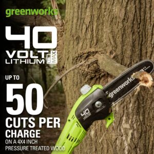 Greenworks 40V 8 inch Cordless Pole Saw Battery and Charger Not Included, PS40B00